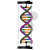 Model dvoušroubovice DNA k sestavení 1
