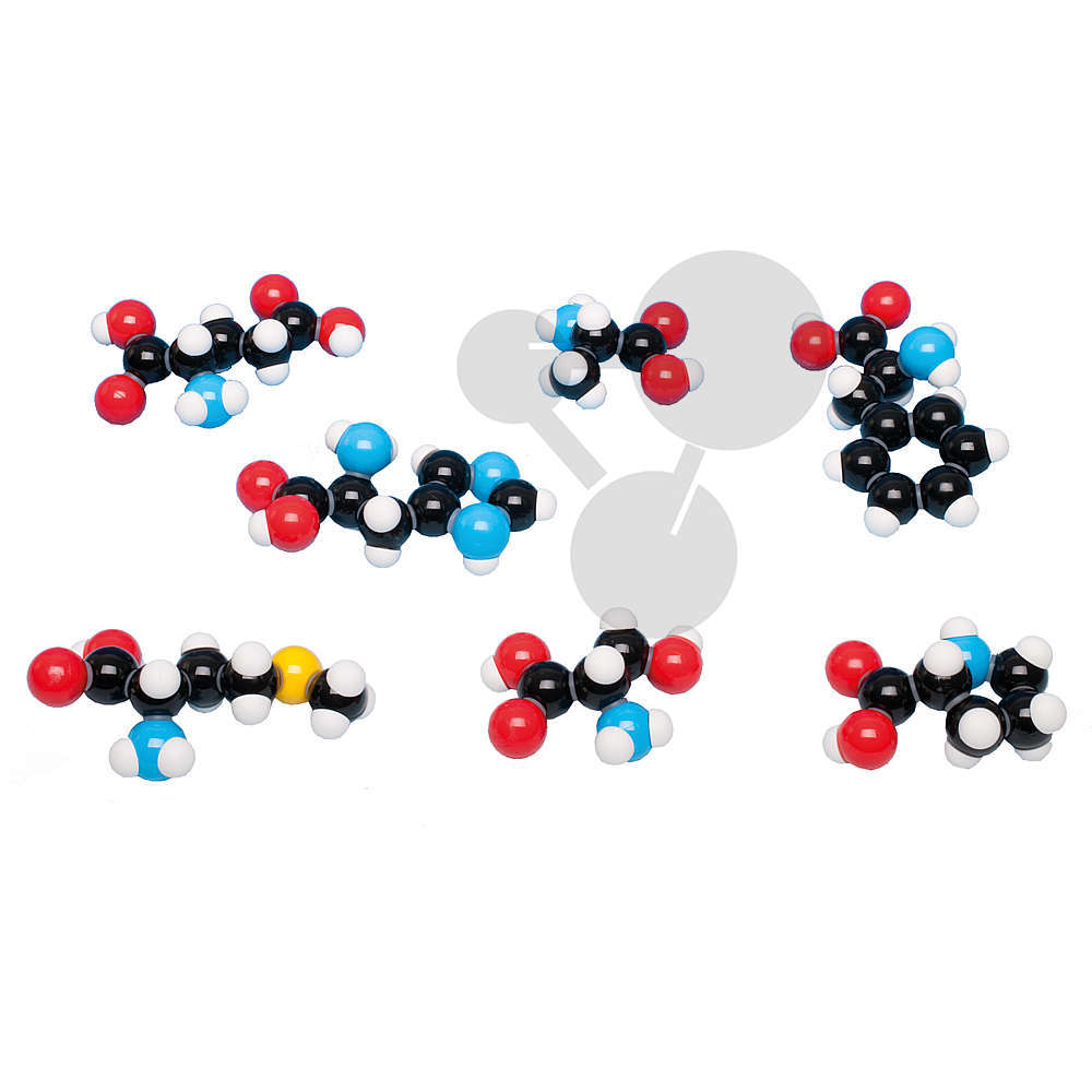 Aminokyseliny, 7 modelů, Molymod®