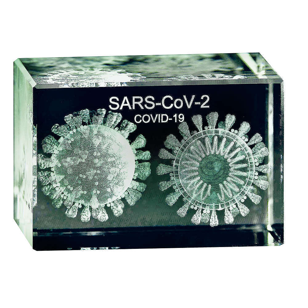 Virus Covid-19 - 3D model ve skle